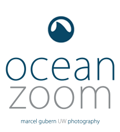 OceanZoom - UW Photography