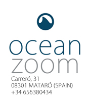 logo zoom